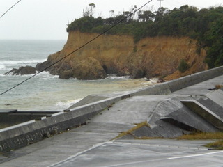CIMG7724.JPG