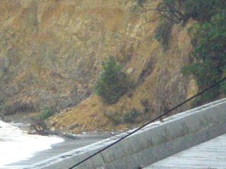 CIMG7725.JPG