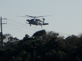 CIMG7738.JPG