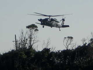 CIMG7741.JPG