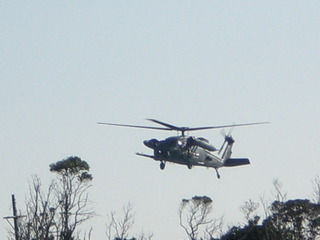 CIMG7742.JPG